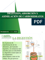 Digestión, Absorción y Asimilación de Carbohidratos