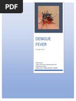 Dengue Fever: Assignment