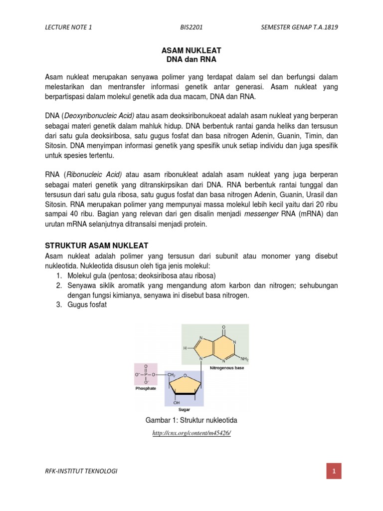 Asam Nukleat