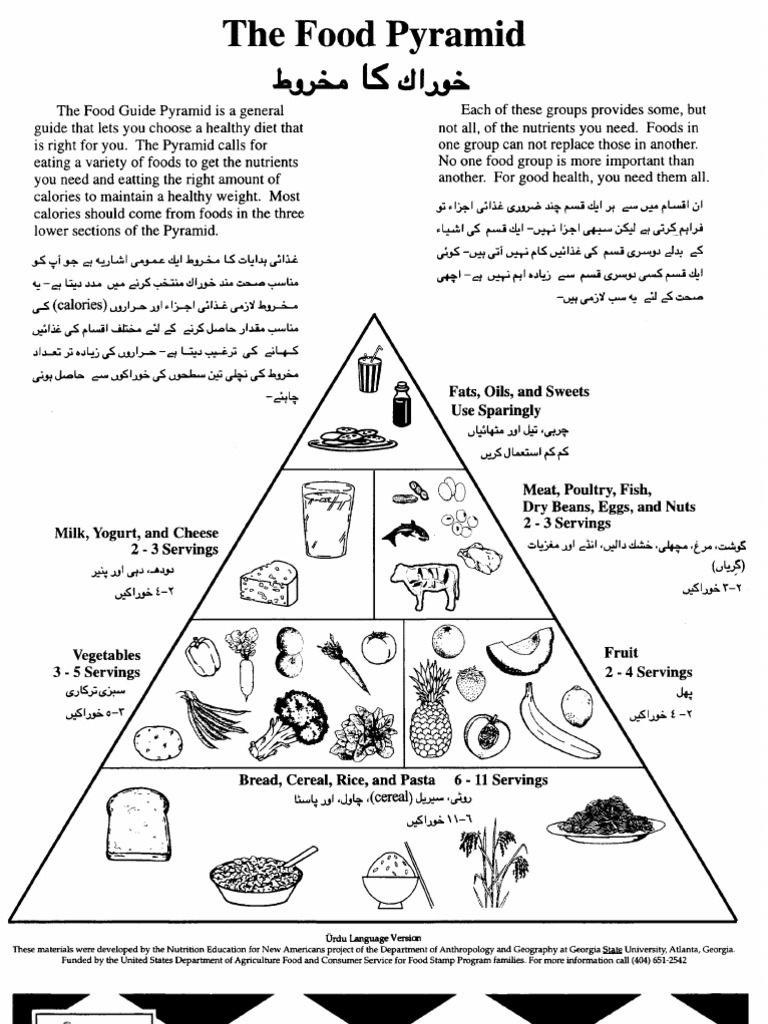 Calcium Rich Foods In Urdu