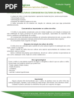 2 Rotacao de Culturas Com Base Na Cultura Do Milho