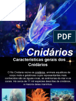 CNIDARIOS.pdf