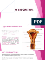 Ciclo Endometrial