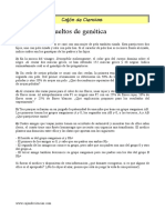 ER genetica 2.pdf