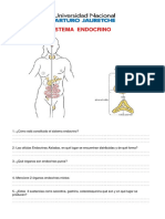 CLASE 3 Práctico Endocrino