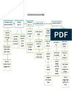 Mapa Conceptual Sobre La Evolución de La Pedagogía