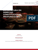 Programa Derecho Constitucional Profundizado 2019