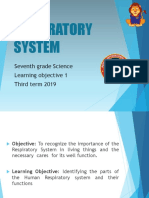 7th Grade Respiratory System. 3rd Term 2019