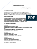 CV for Finance Professional