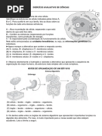 Ciencias sistema circulatório agosto 2017.pdf