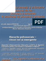 2014_Presentation_-_Raluca_Iordache_Viorica_Petreanu,_INCDPM (1).pdf