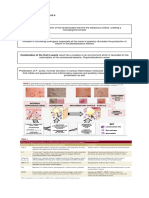 General Pathology - Group 9 I. Clinical Impression - ACNE II. Pathophysiology