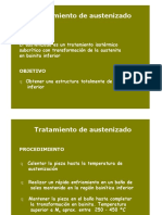Austenizado- desarrollo y tratamiento.pdf