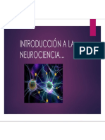 Introducción A La Neurociencia Libro