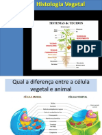 Histologia Vegetal