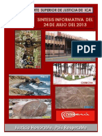 116.-+SINTESIS+INFORMATIVA+24+JULIO+2013.pdf