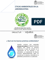 Buenas Prácticas Ambientales en La Agroindustria: Programa Curricular: Ingeniería Ambiental