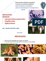 Características y clasificación de hongos