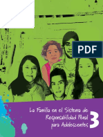 Sistema de Responsabilidad Penal PDF