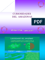 Curiosidades Del Amazonas - Pps