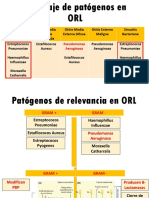 Abordaje de Patógenos en ORL