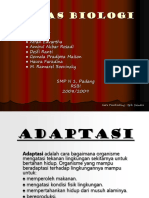 Adaptsi Mrflgi 2.ixb.08