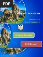 Kelompok 12 Makalah Docx
