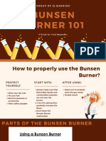 Bunsen Burner 101-2