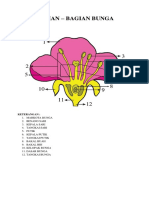 Bagian-bagian bunga dan fungsinya