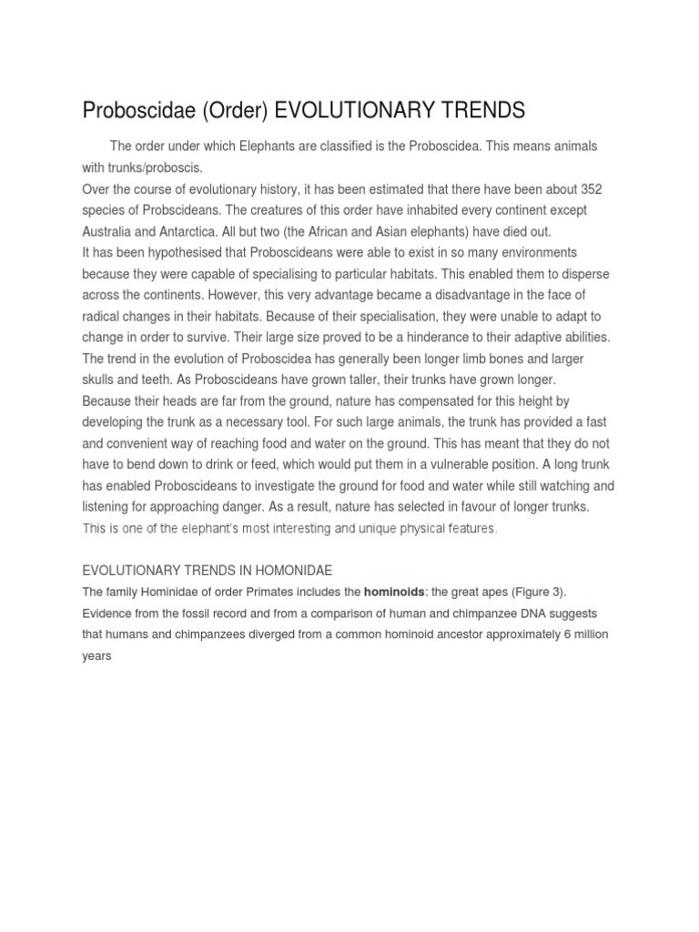 Evolutionary Trends in Proboscidea and Hominidae | PDF | Ape | Hominidae