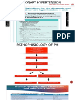 Pulmonary Hypertension