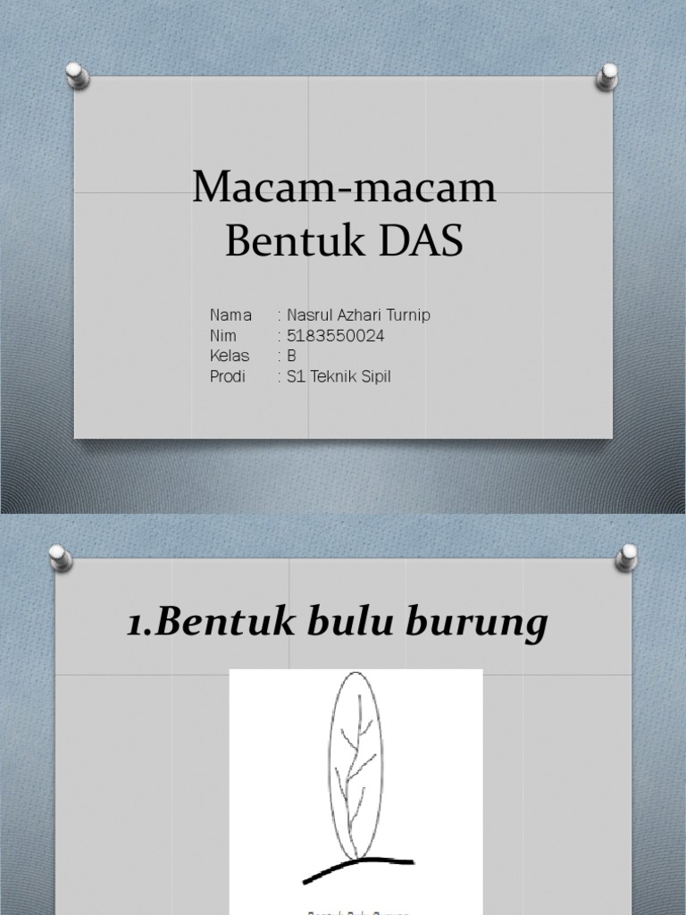 Macam-Macam Bentuk DAS | PDF