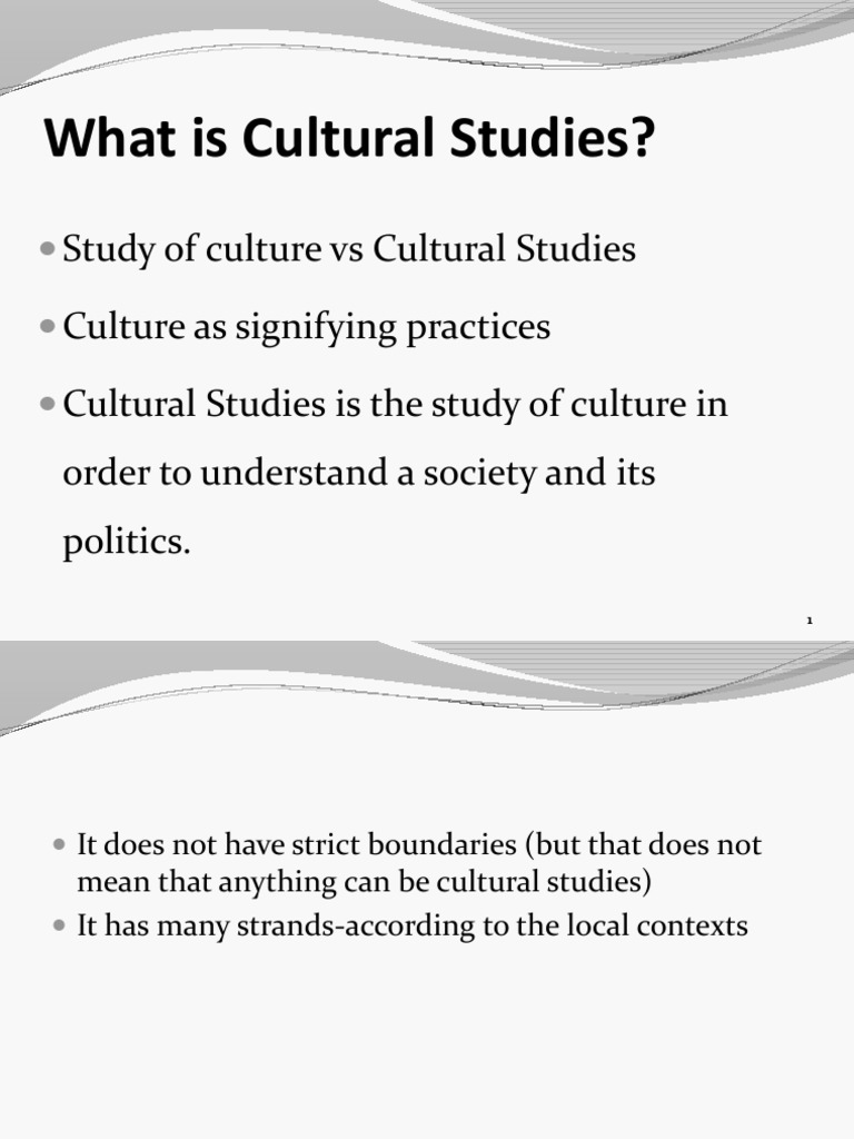 Understanding Cultural Studies | PDF | Cultural Studies | Political Science