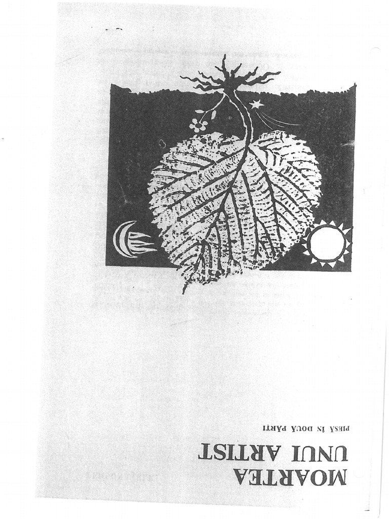 Text Scanat Moartea Unui Artist Pdf Pdf