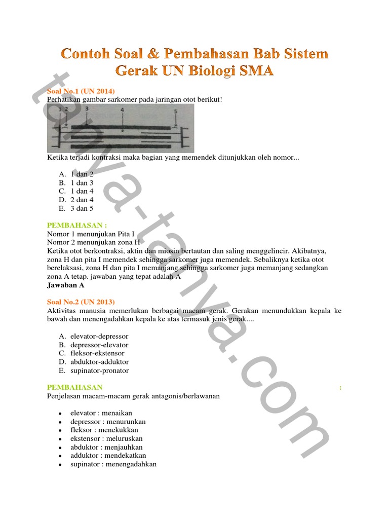Contoh Soal Sistem Gerak