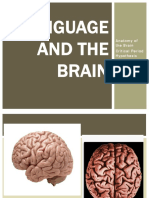 Language and The Brain