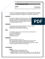 CV Summary for IT Professional