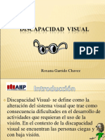 Discapacidad Visual2