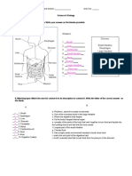 Digestive System Answer Key.docx