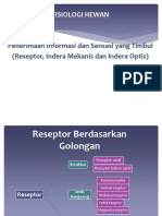 Reseptor Mekanik Dan Optik