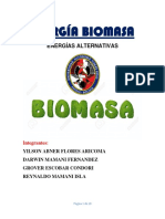 Energía Biomasa