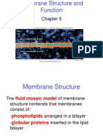 Protein Membran Chp5