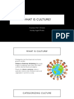 What Is Culture?: Alcantara, Mark Christian Alunday, Angela Phoebe