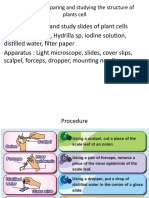 Experiment 2.1 Plants Cell (Slides)