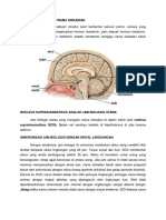 Kelenjar Pineal Dan Irama Sirkadian