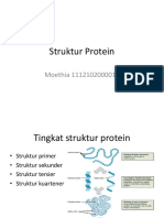 Struktur Protein