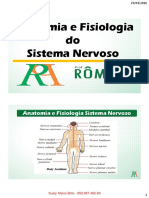 Anatomia e Fisiologia Do Sistema Nervoso