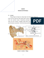 Bab II Otitis Externa Difusa