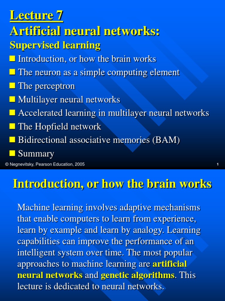 07 Neural Networks1 | PDF | Artificial Neural Network | Nervous System