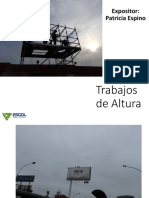 Trabajos en Altura Escol PDF